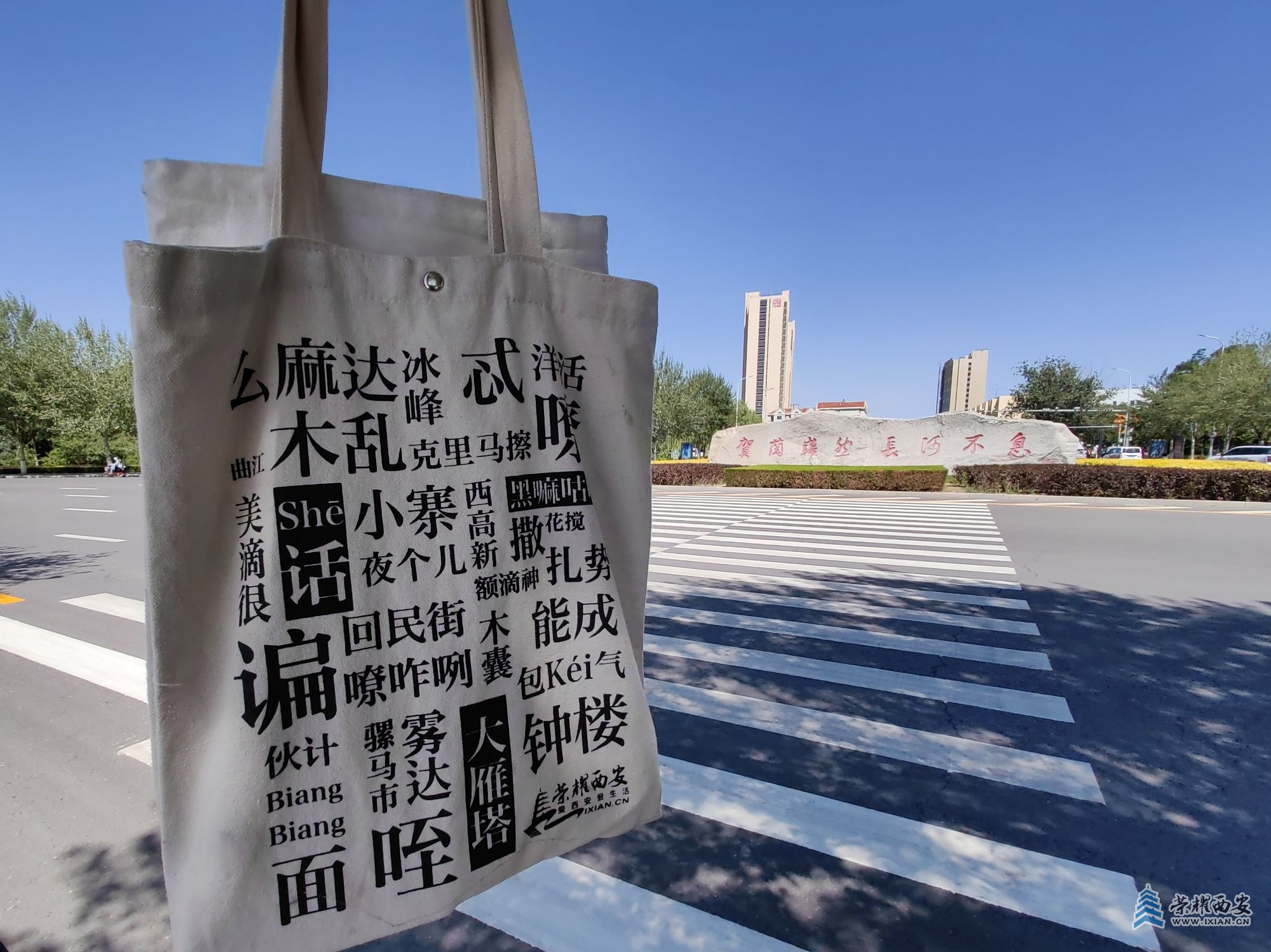 IMG_20240623_151047贺兰巍然，长河不息，荣耀西安网陕西话手提袋.jpg