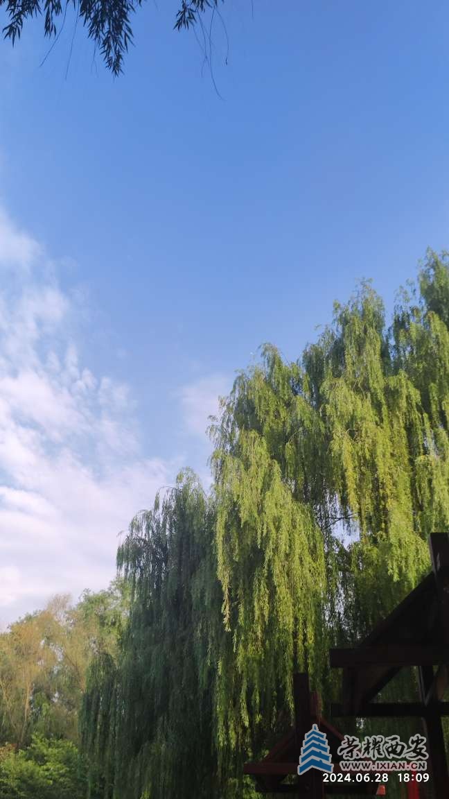 20240628225101front2_0_641246_FnwNS3hdJUEonHKYuDI474BRxiKM.jpg
