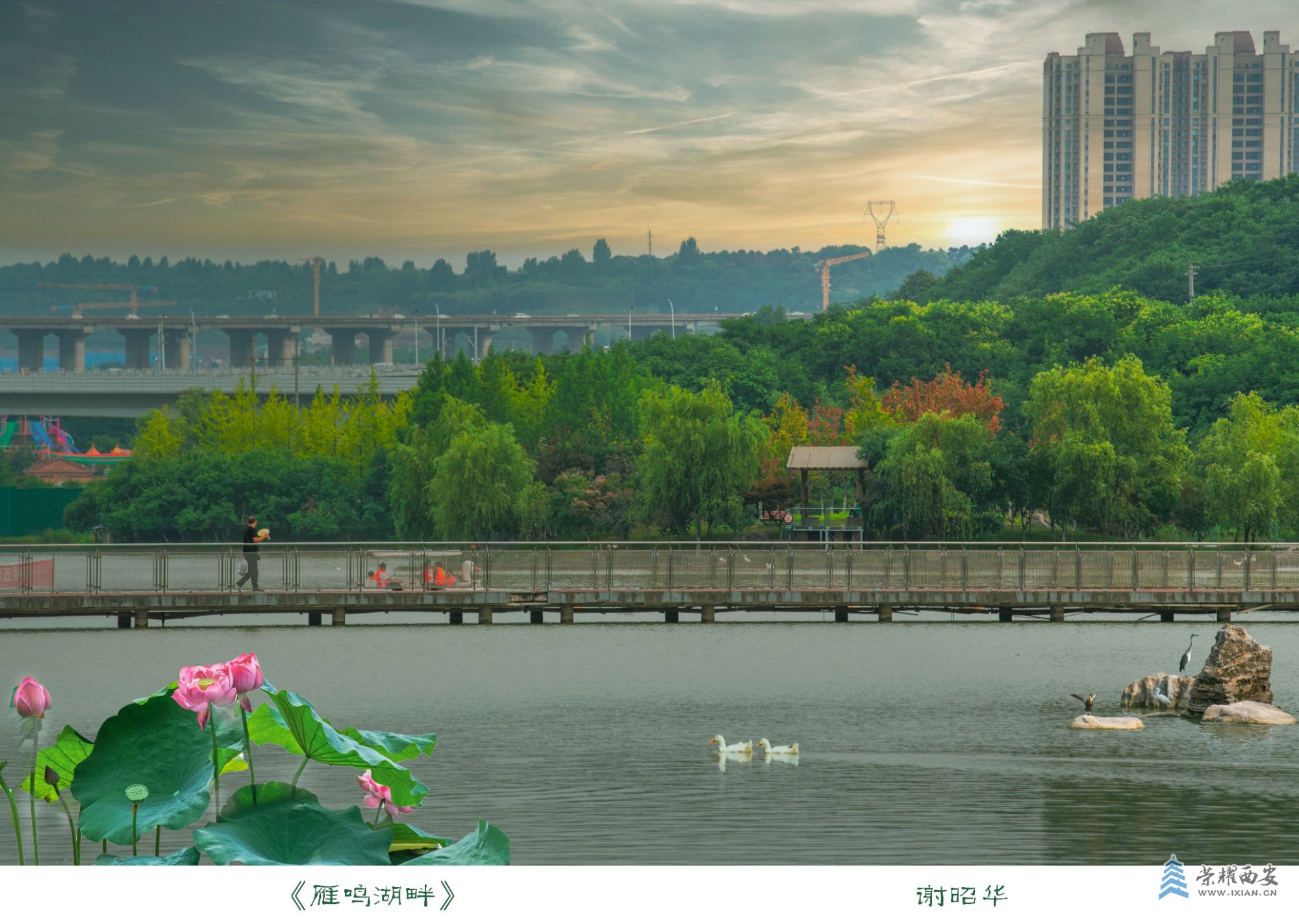 _DSC8595 拷贝 3.jpg