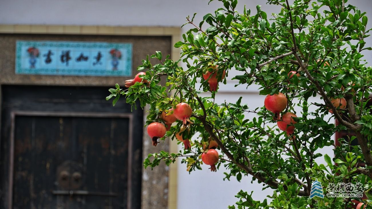 蔡家坡020.JPG