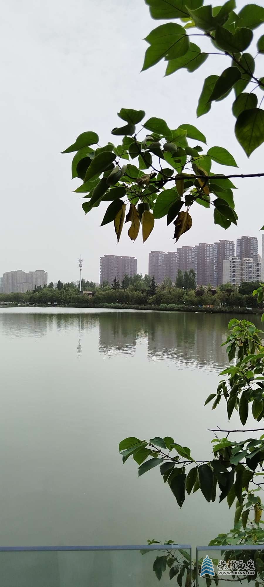 20240810180916front2_0_507169_FrGhw8XFWvz6BuBun7dBEIwkP7Co.jpg