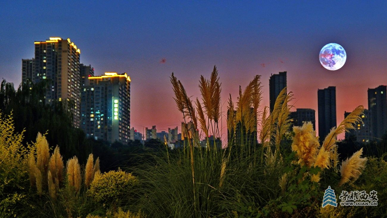 桃花潭F16.JPG