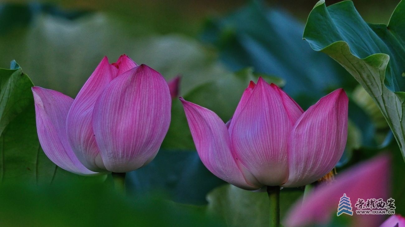 桃花潭F24.JPG
