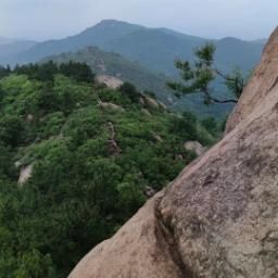 华为手机图片 033.jpg