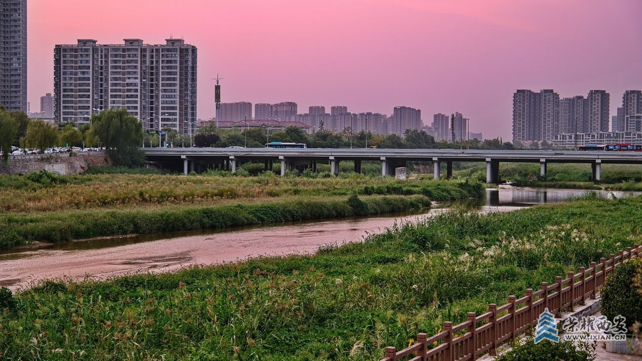 浐河29.JPG
