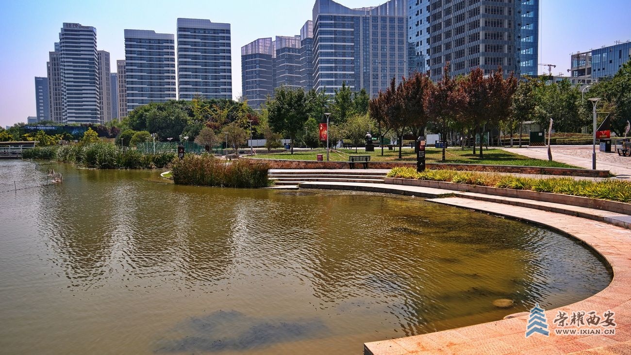 浐灞滋水公园0021.JPG