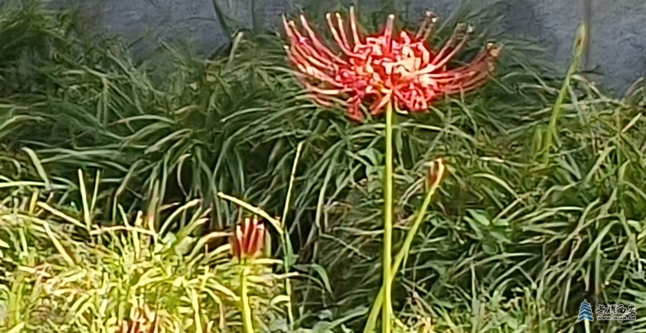 20240907234659front2_0_643338_FrCfYs3YAIIh3yiV053bWHVqHujC.jpg