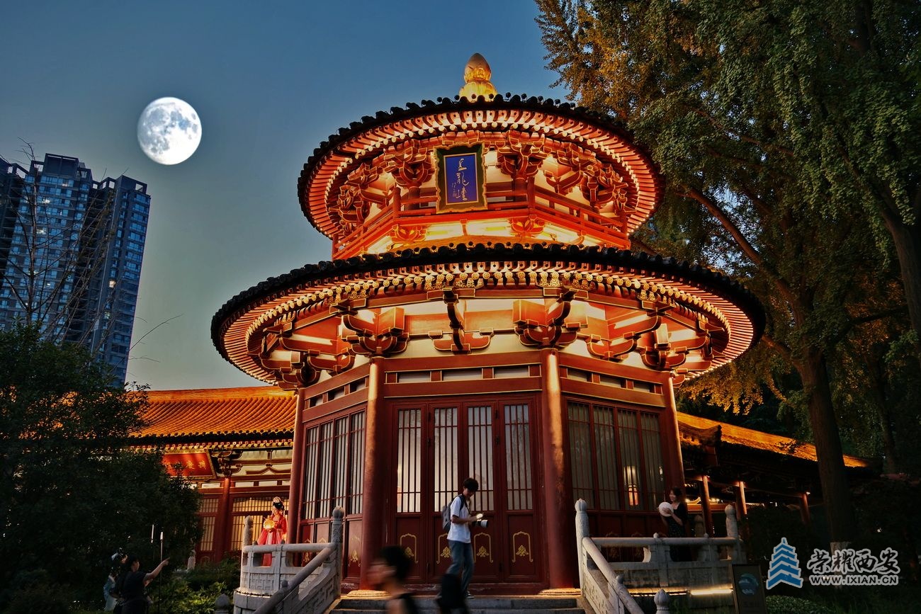 兴庆公园夜景04.JPG