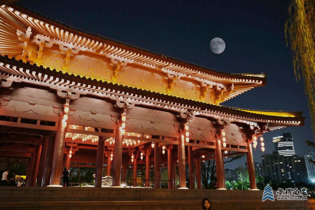 兴庆公园夜景15.JPG