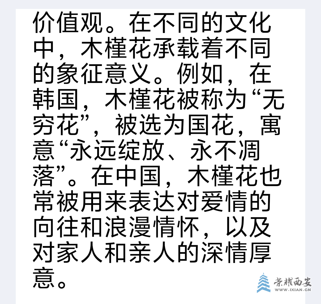 20240917110333front2_0_611794_Fhulo1qPYUqGYaBqjYeGAlSUlFUh.png