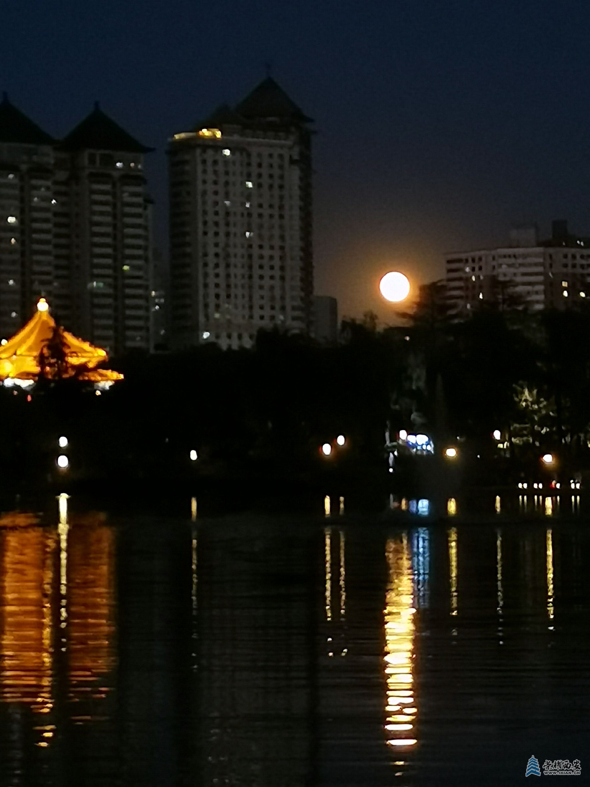 IMG_20220614_203247.jpg