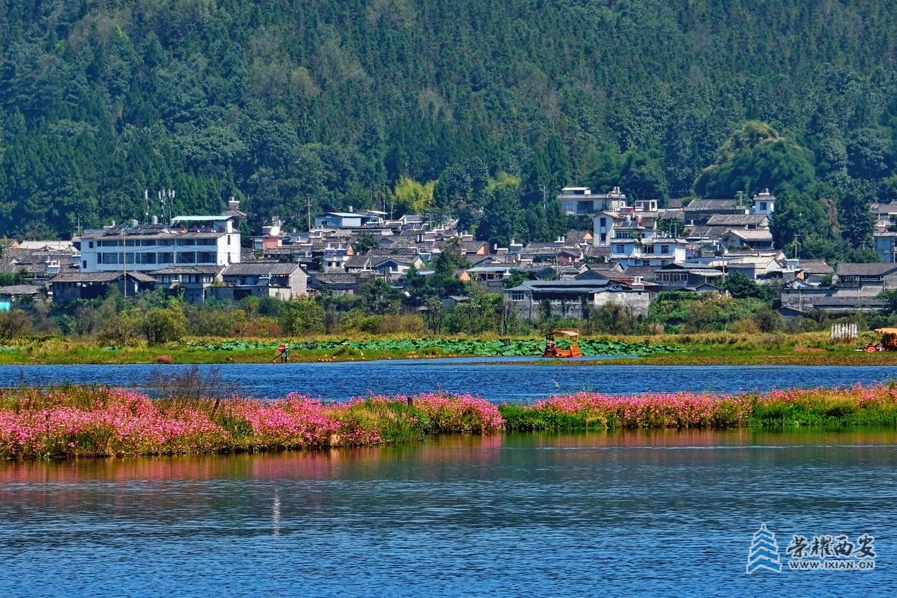 腾冲北海湿地4.JPG
