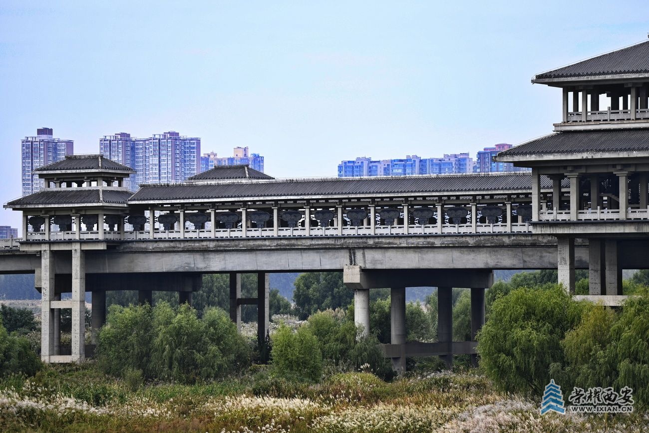 _西安灞河43.JPG