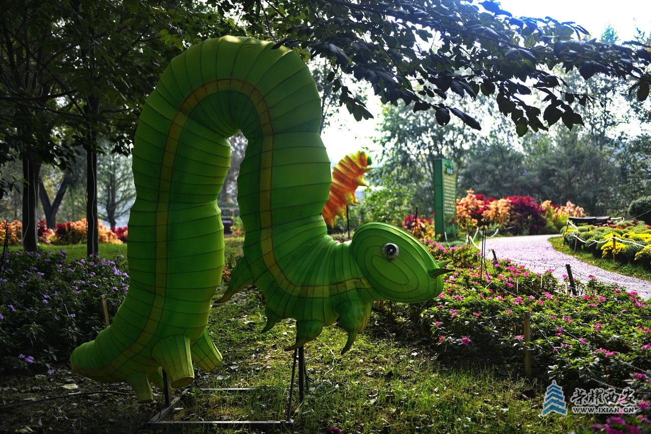 _植物园18.JPG