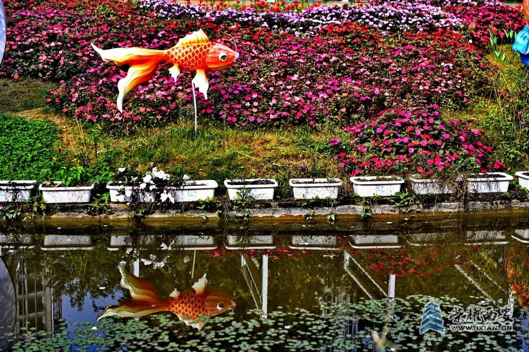 _植物园34.JPG