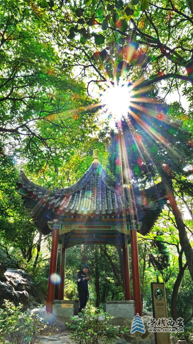 --兴庆公园02.JPG