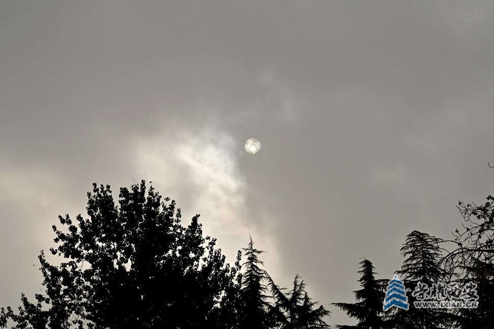 20241103170231front2_0_641246_FolRBs-Cj4Bf-2ejB76WUev0MPdR.jpg
