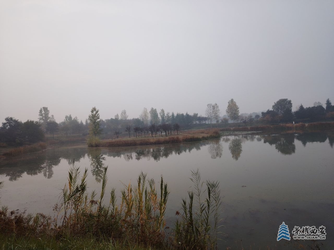 20241109091408front2_0_473708_Finu9QQUYsMMPWE8G44UwrnZZa2t.jpg
