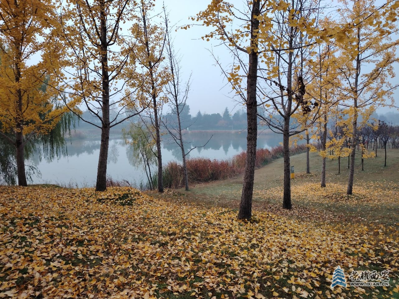 20241109091408front2_0_473708_FvVGZqET2wniS02k2PgE-AxWJ9DA.jpg