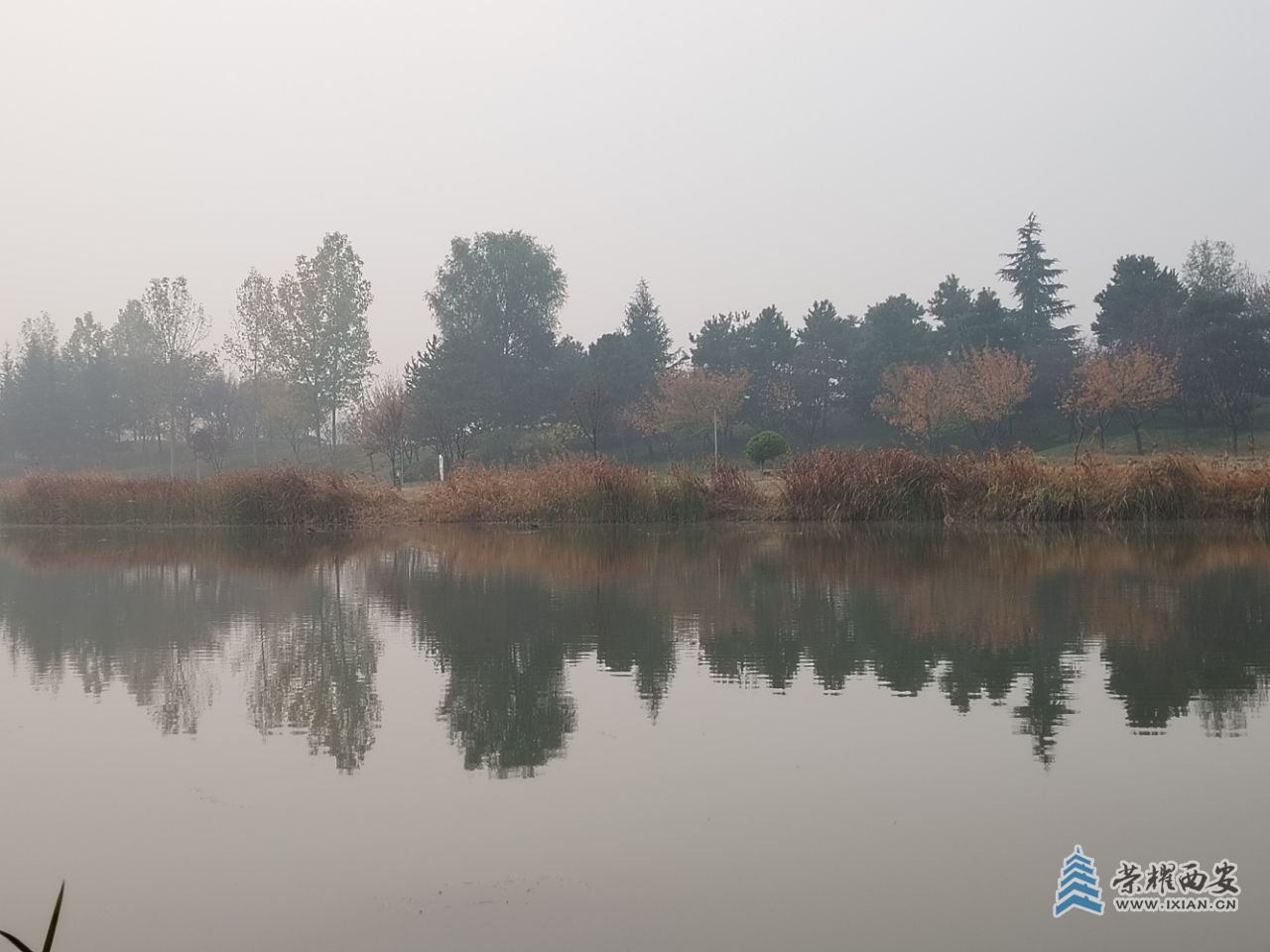 20241109091426front2_0_473708_Fo7w5wK-ixKWeg5r145ycGxsGmn2.jpg