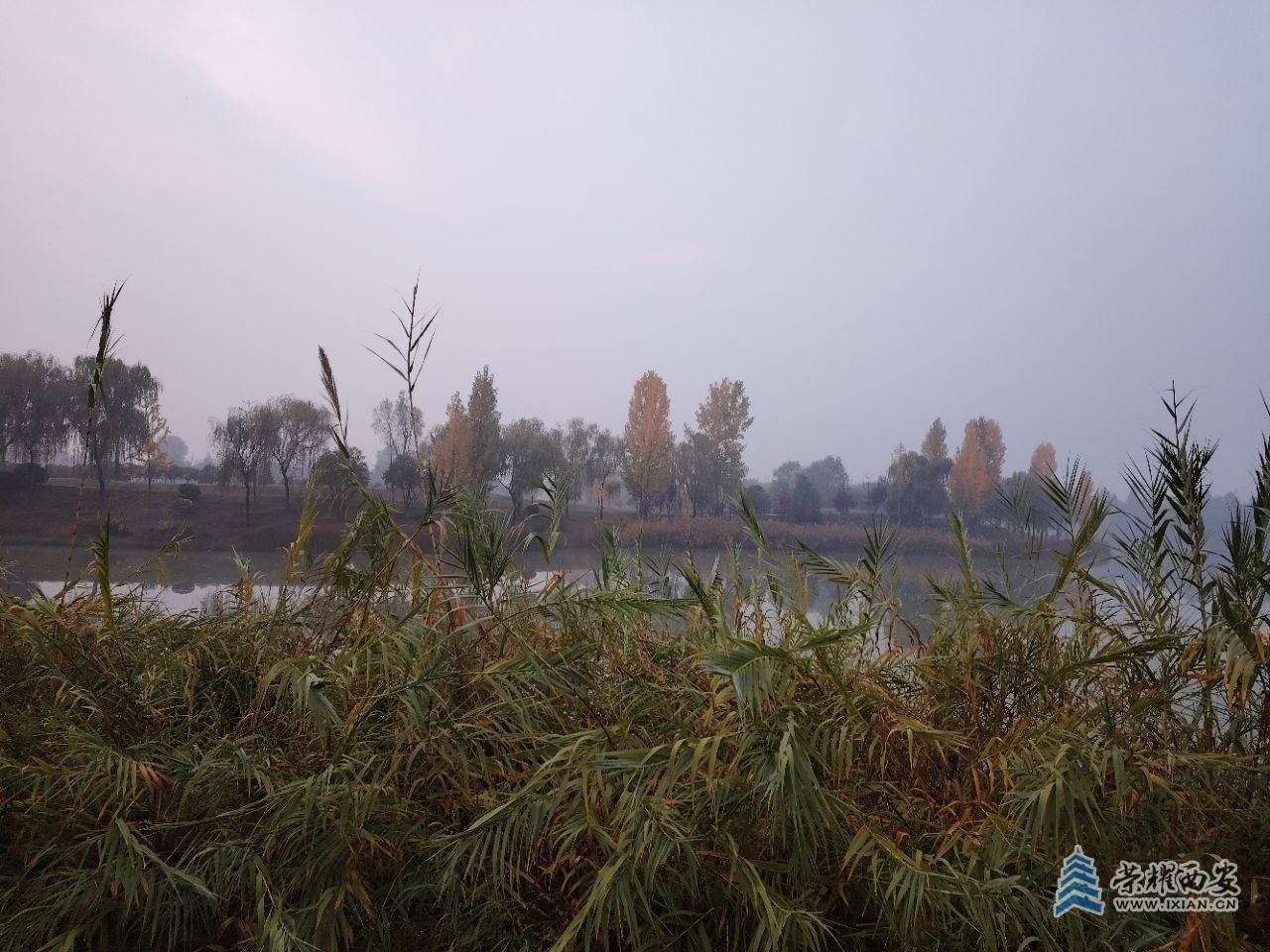 20241109091445front2_0_473708_Fu_71Agkva0fgXSOtu6TRQE2pnSB.jpg