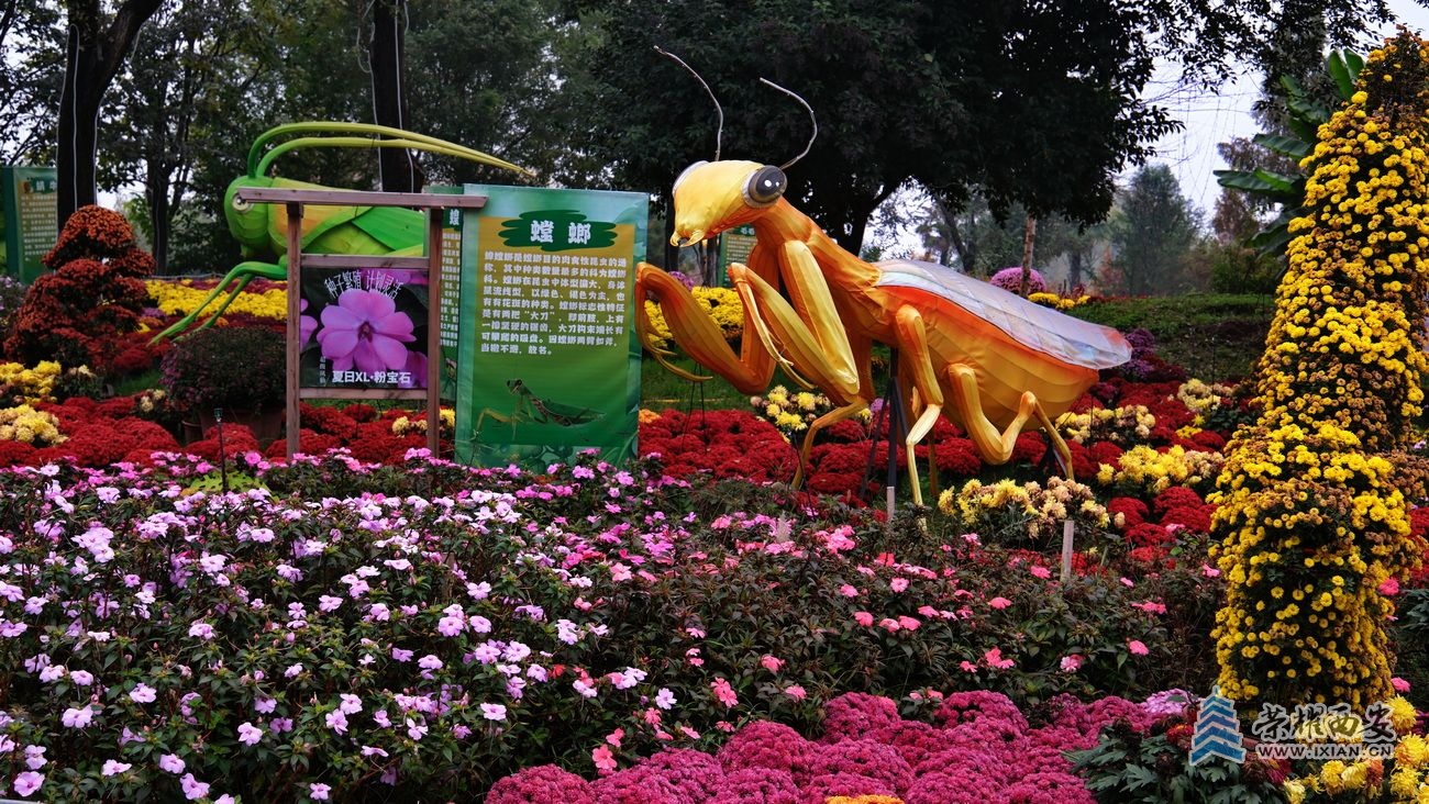 植物园33.JPG