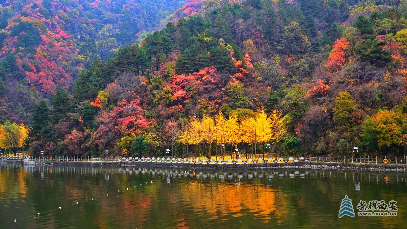 _翠华山16.JPG