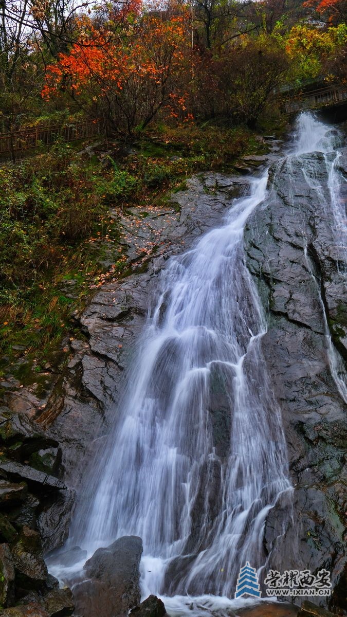 _翠华山26.JPG
