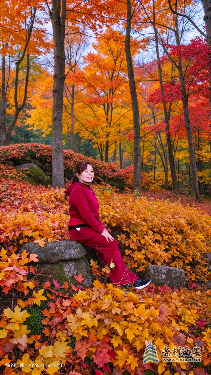 _翠华山49.jpg