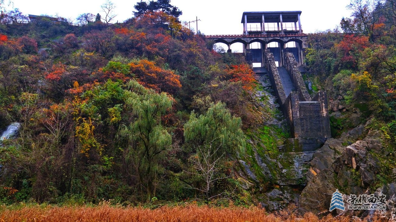 _翠华山54.JPG