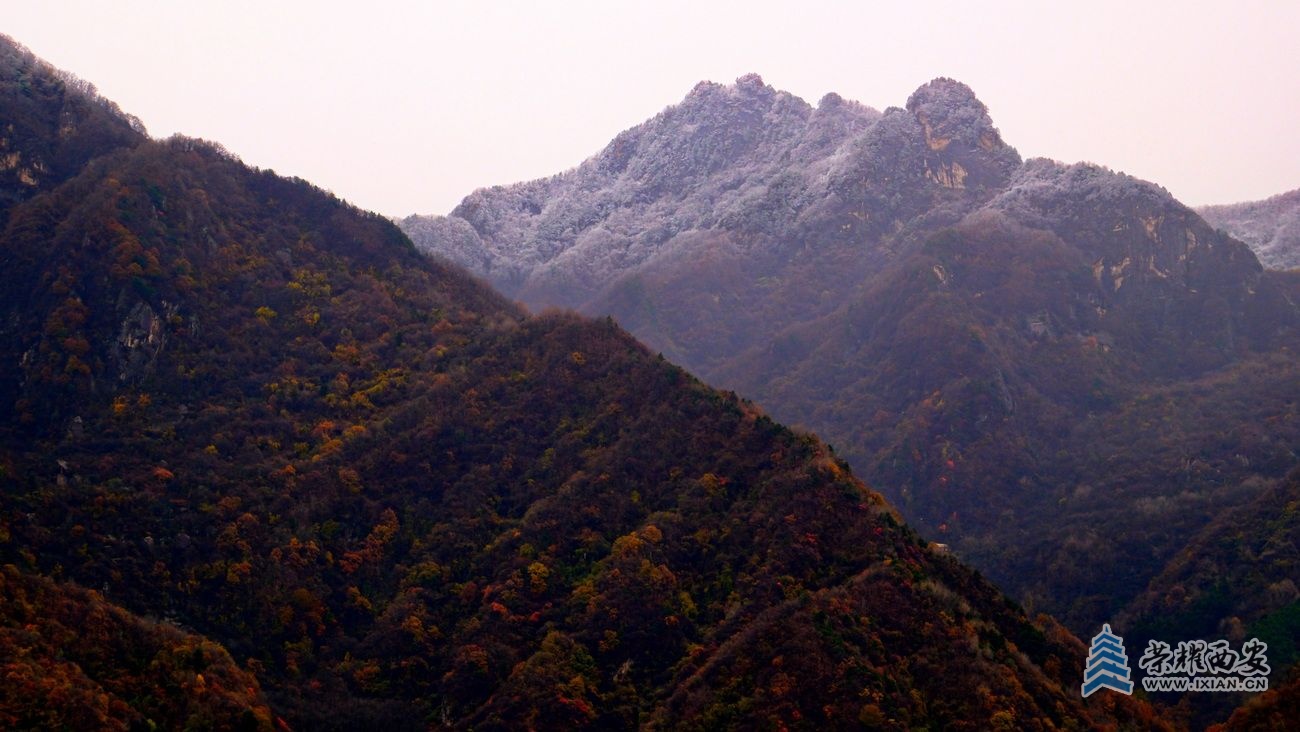 翠华山043.JPG
