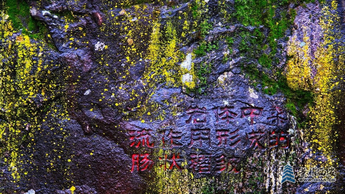 翠华山049.JPG