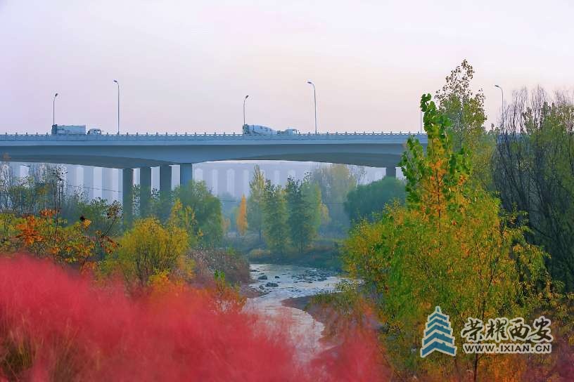 20241125210248front2_0_627177_FjZyuHL8RnkXDebuRHvv-okaP1B9.jpg