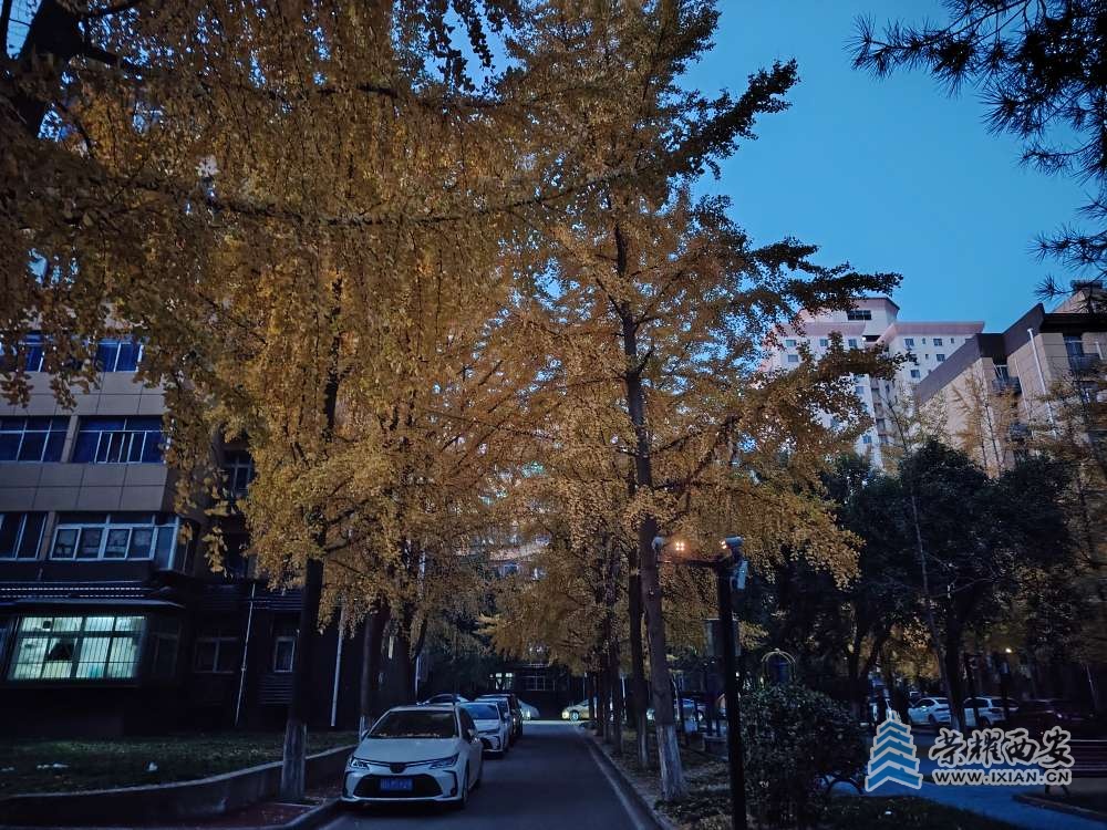 20241202050556front2_0_473708_FpkG35qCiSoAo_eKqHtyBB1UstGz.jpg