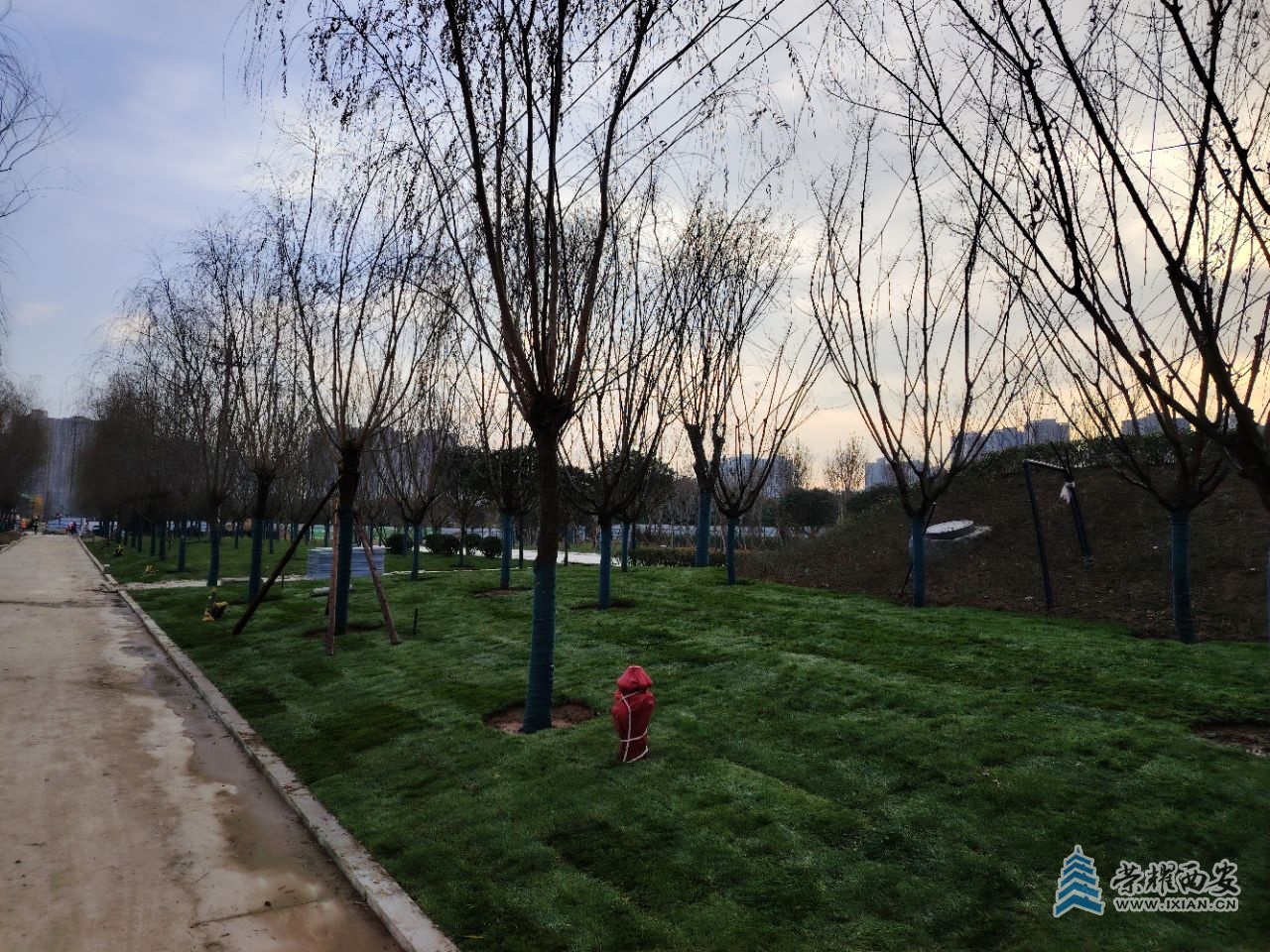 20241205055256front2_0_473708_Fi0Brhy-qINzOHtIsHqh3xnluLW-.jpg