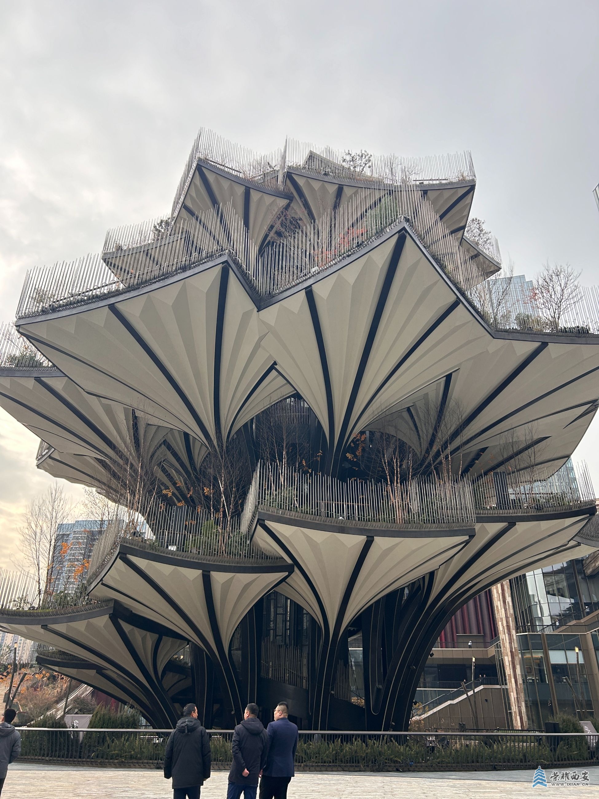 微信图片_20241209151103.jpg