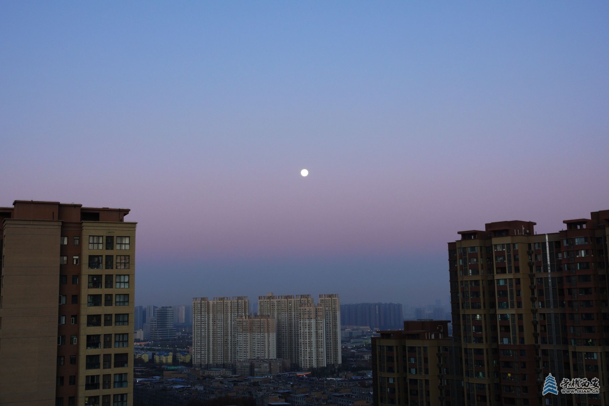 DSC03500a.jpg