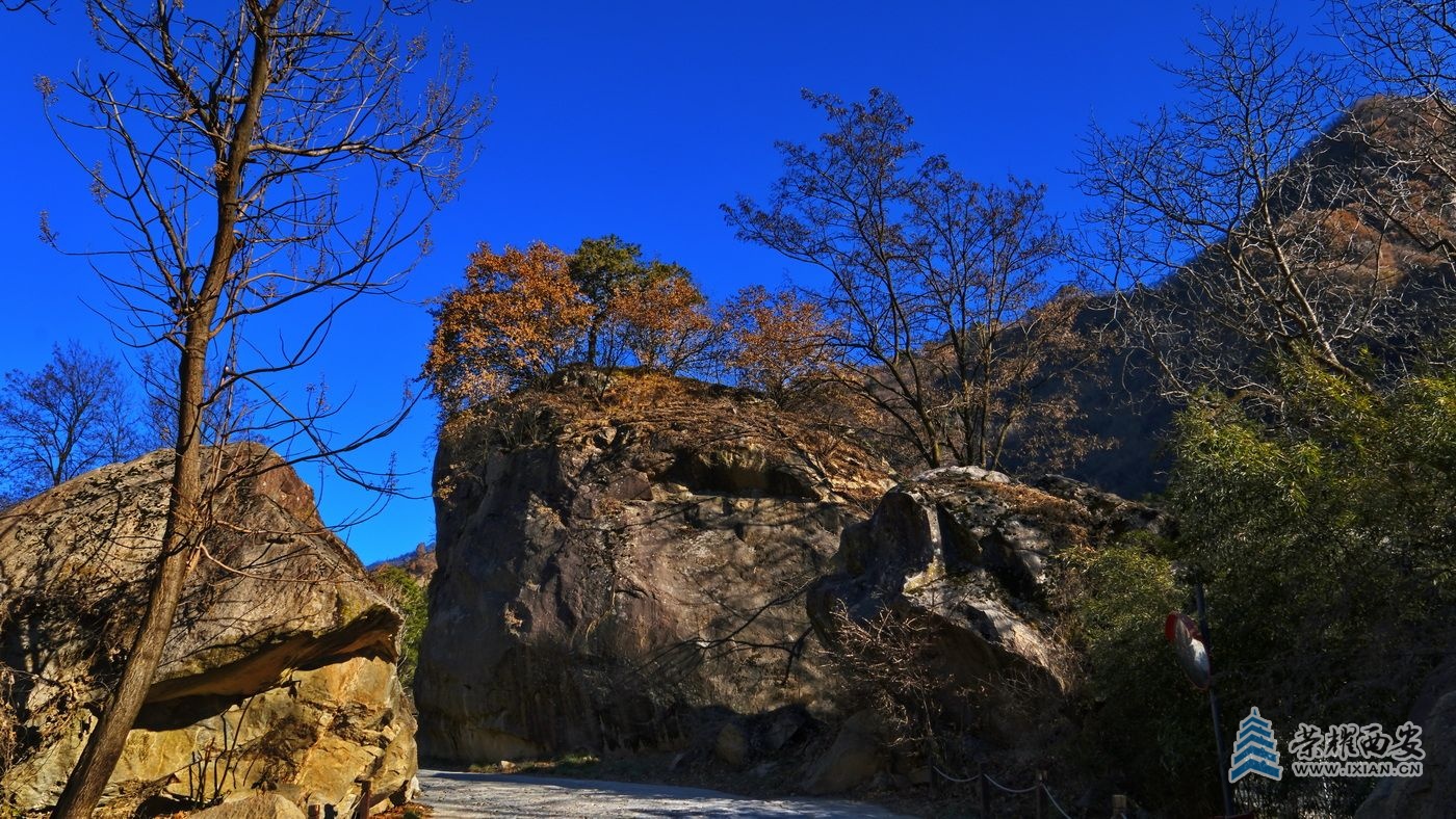 _翠华山32.JPG