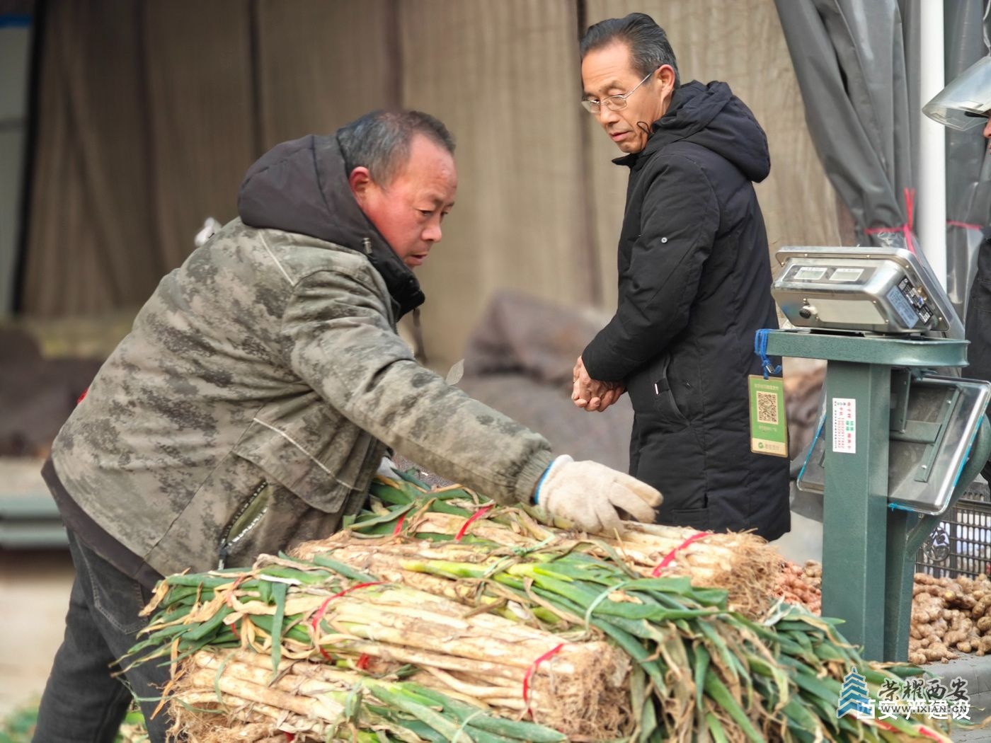 城东副食采购中心041.jpg