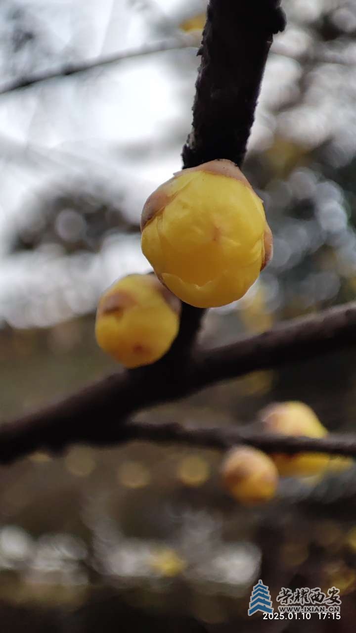 20250111092426front2_0_641246_FoljrIIolraUsy9EXLe-mQZ7GWeb.jpg