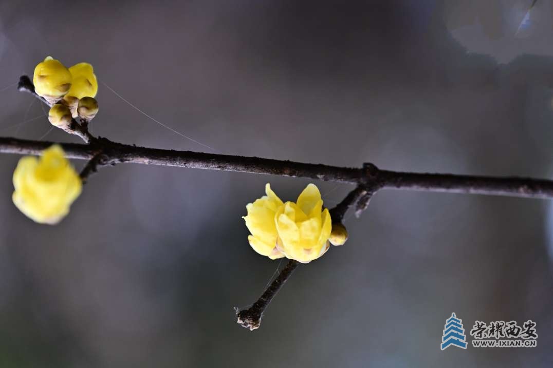 20250111111901front2_0_641246_Fo12_4rlKo4jTXh2oBNot7KklLgD.jpg