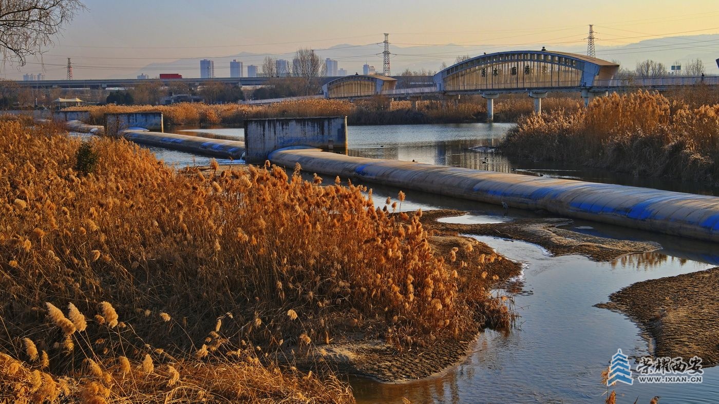 _灞河014.JPG
