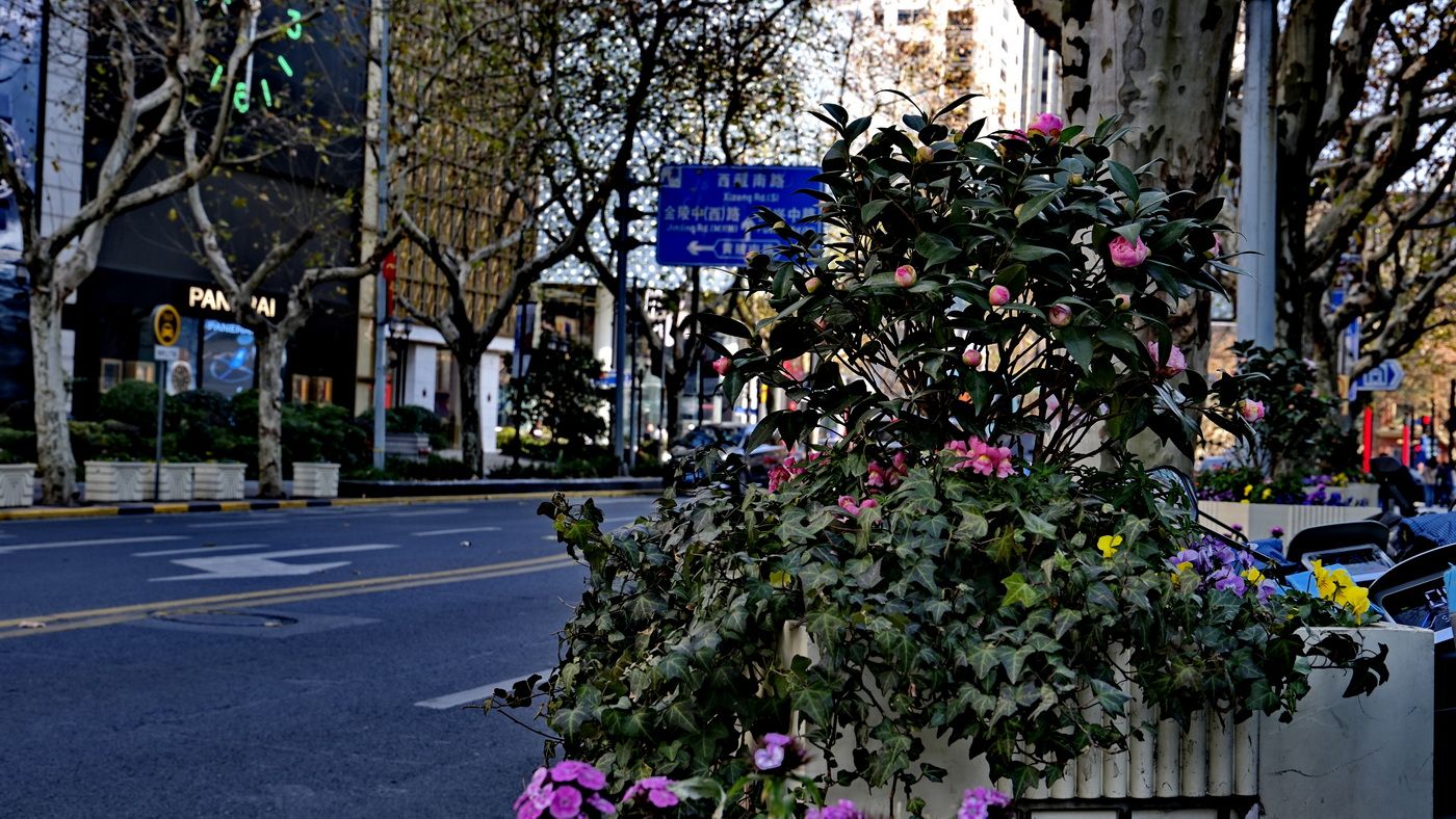 -淮海中路031.JPG