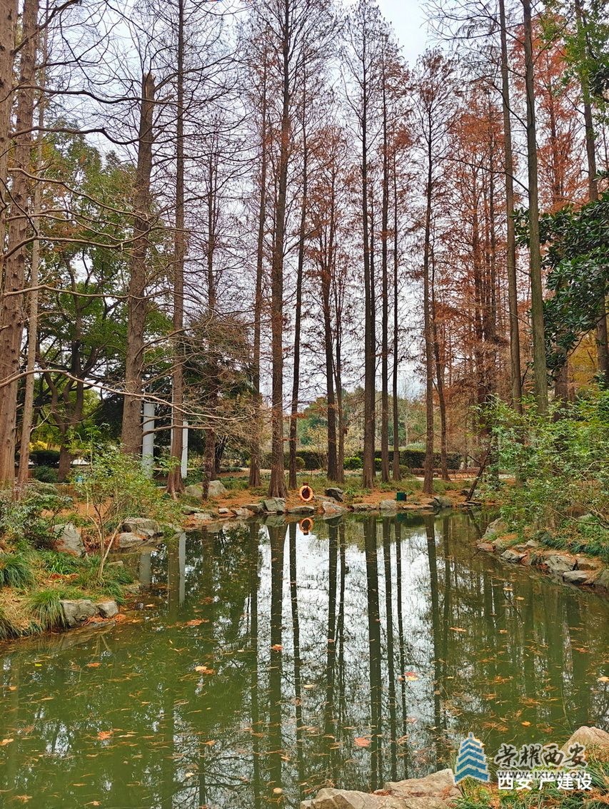 -上海植物园023.jpg