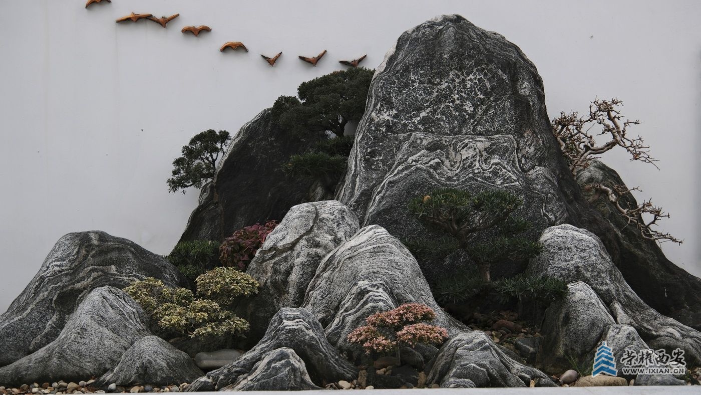 -上海植物园030.JPG