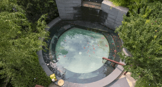 640?wx_fmt=gif&from=appmsg.jpg