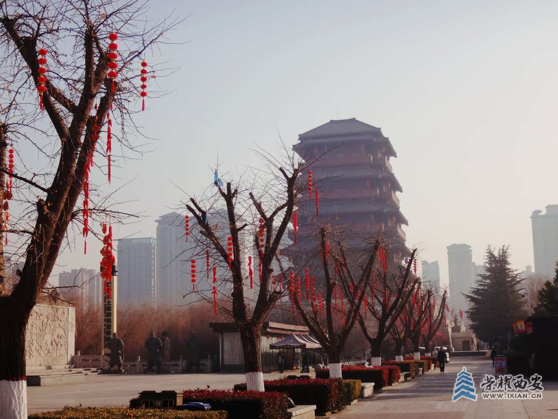 20250209210805front2_0_518588_FksgcMa2bUOdE1lQGEgHQfL8-G_M.jpg