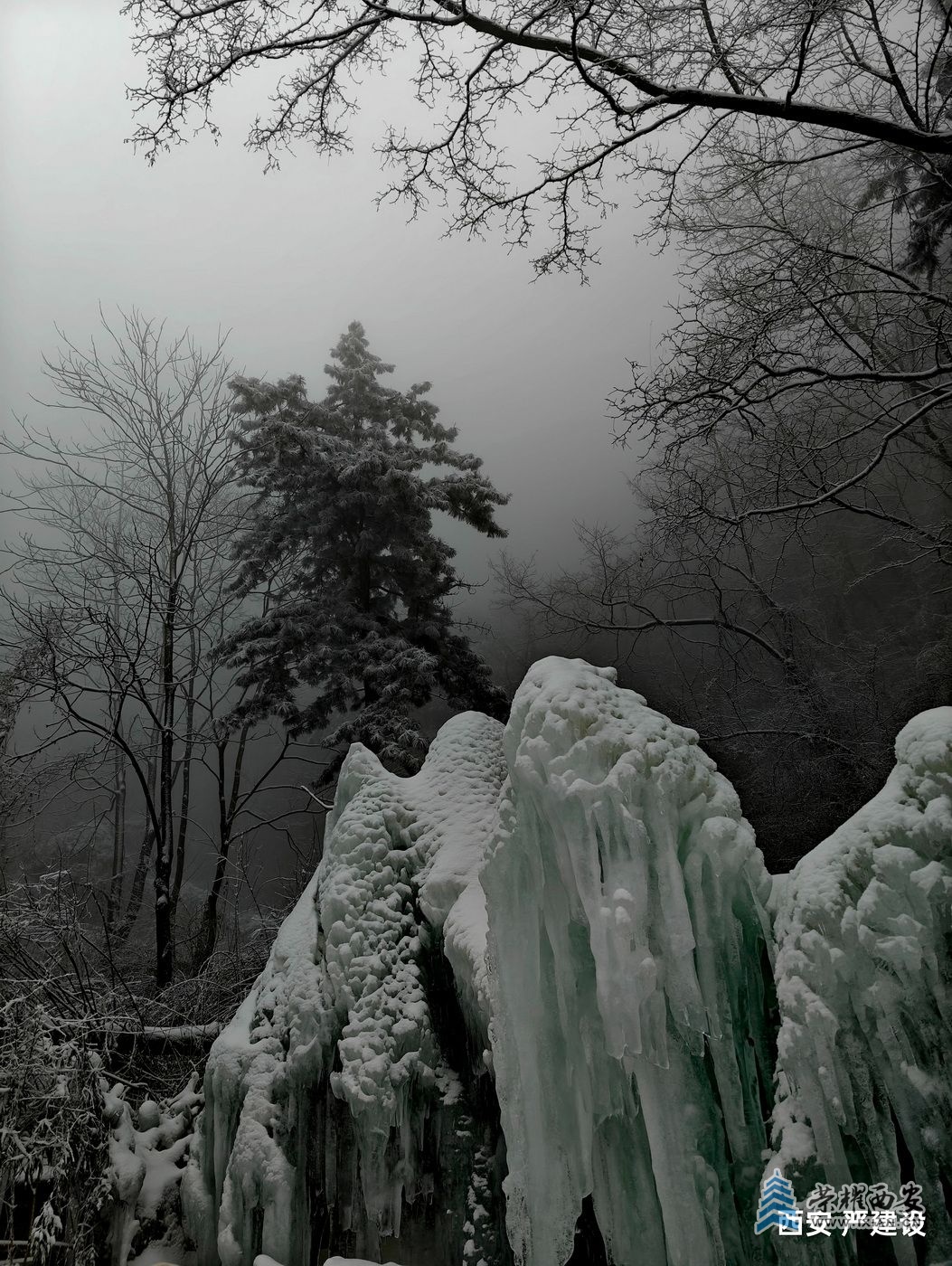 _翠华山11.jpg