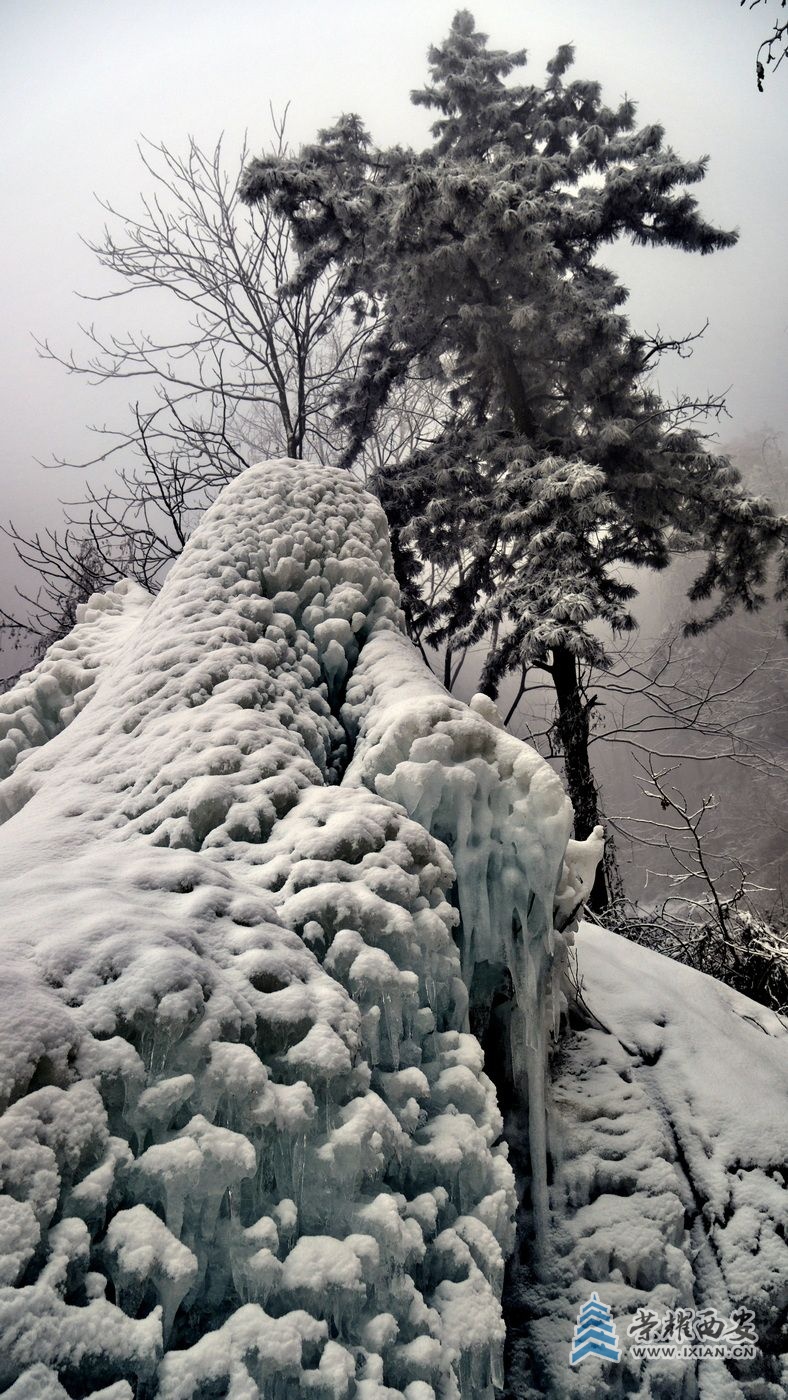 _翠华山25.JPG