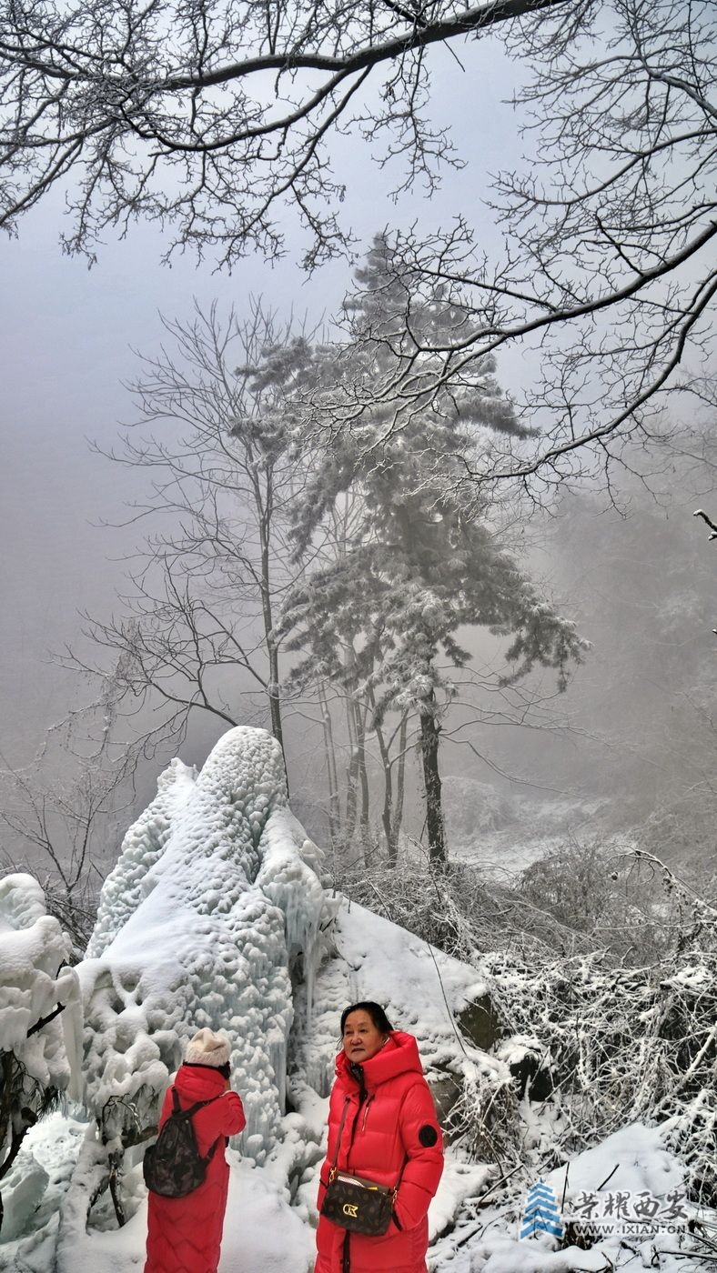 _翠华山26.JPG